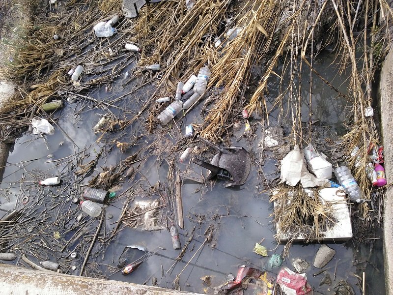 Ecologistas en Acción denuncia la situación de varios humedales de Baena “deteriorados y olvidados”