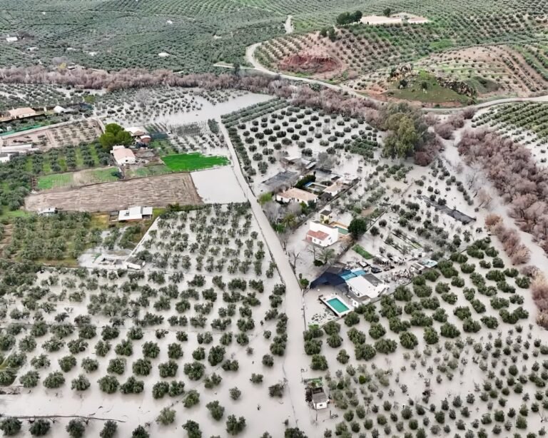 Asaja Córdoba solicita a todos los ayuntamientos de la provincia la exención del IBI de naturaleza rústica