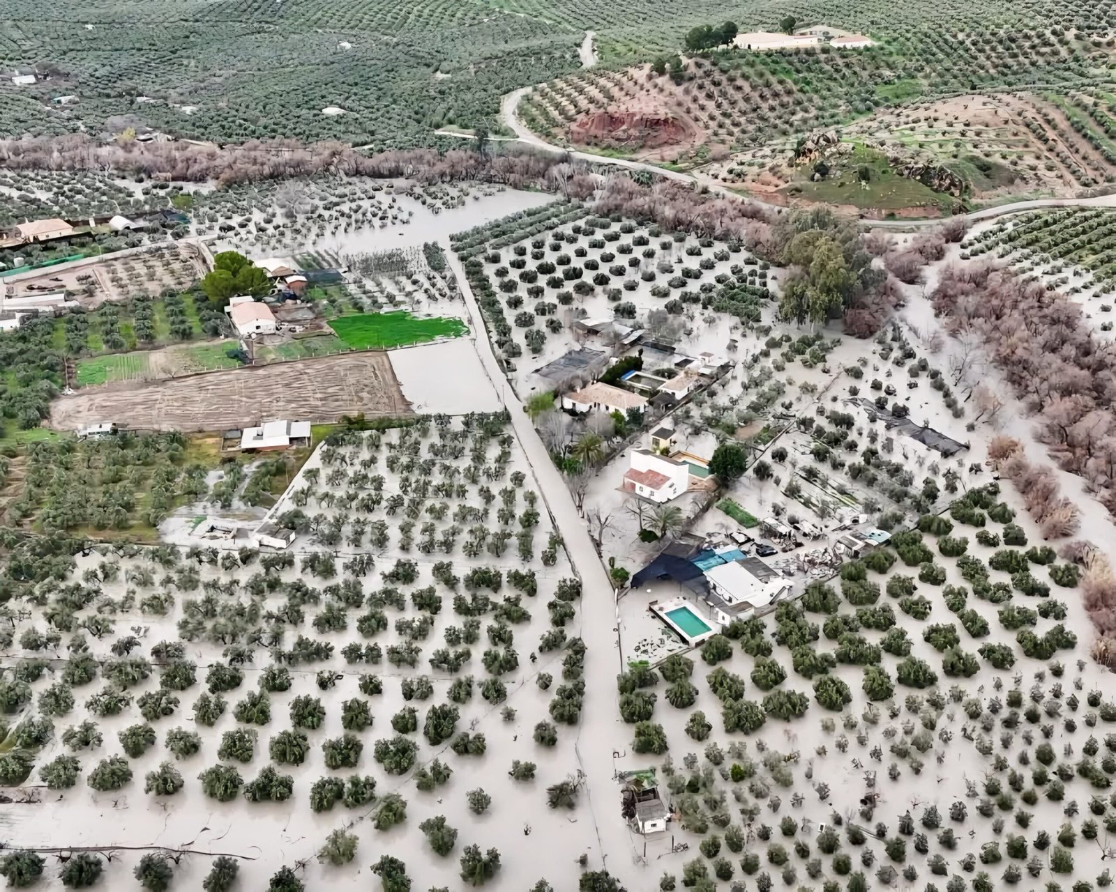 Asaja Córdoba solicita a todos los ayuntamientos de la provincia la exención del IBI de naturaleza rústica