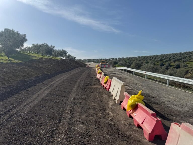 La Junta de Andalucía reabre provisionalmente la A‑3125 para garantizar el acceso a las fincas olivareras