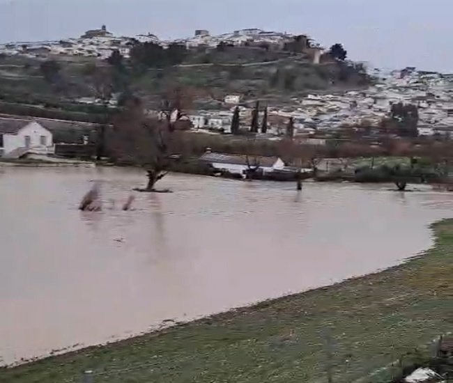 Baena cifra en casi 1,5 millones de euros los daños ocasionados por el temporal de viento y lluvias