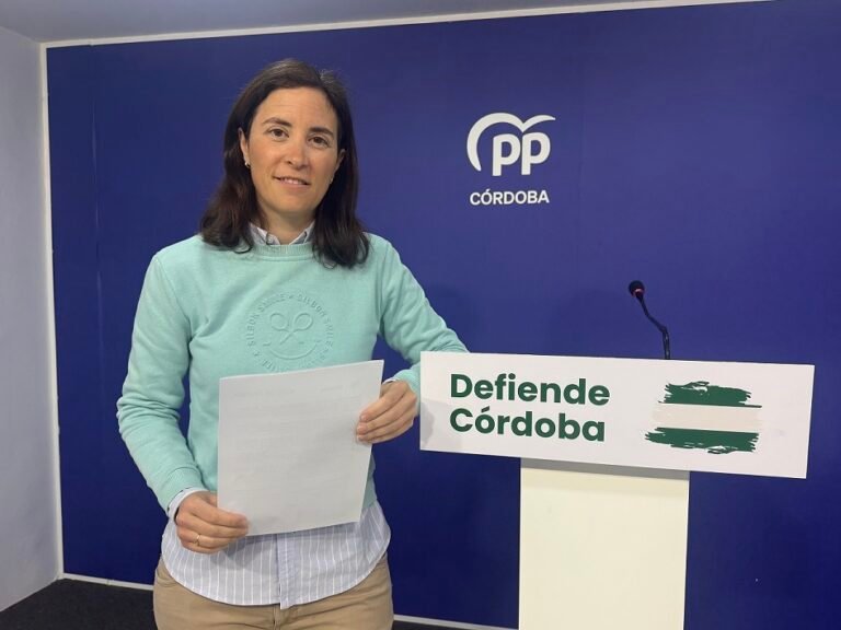 El PP lamenta que el PSOE “ha enterrado” la conversión en autovía de la N-432