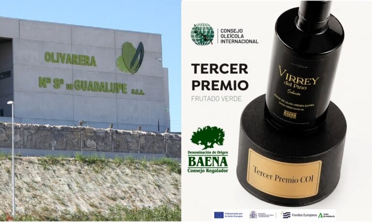 La cooperativa de Guadalupe de Baena logra un histórico tercer puesto en el Premio ‘Mario Solinas’