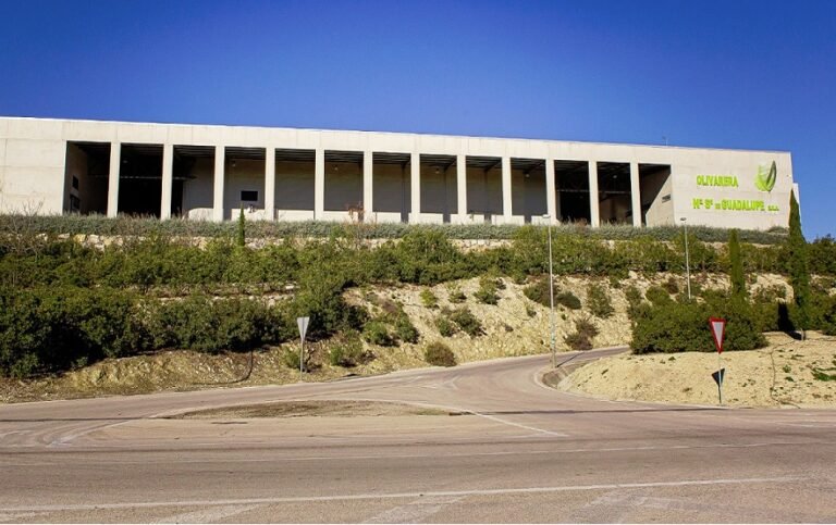 La cooperativa de Guadalupe de Baena logra un histórico tercer puesto en el Premio ‘Mario Solinas’