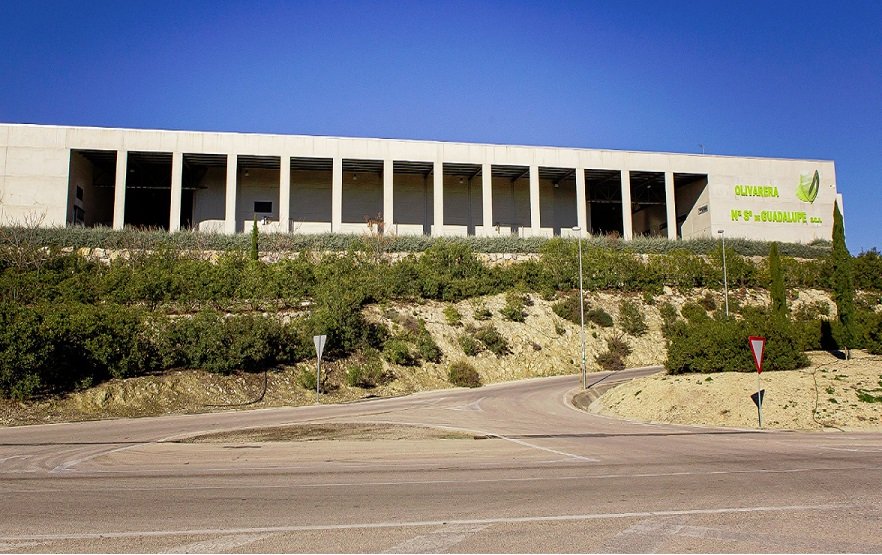 La cooperativa de Guadalupe de Baena logra un histórico tercer puesto en el Premio ‘Mario Solinas’