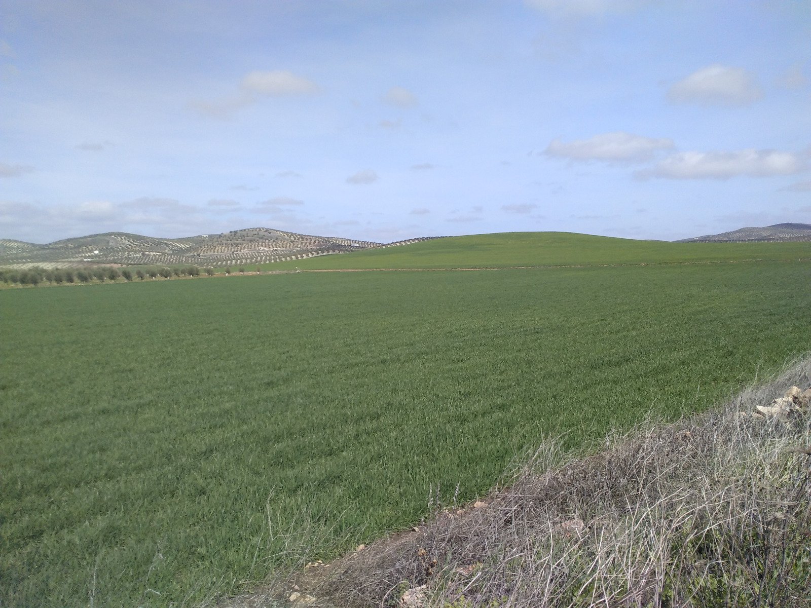 Ecologistas en Acción denuncia falta de transparencia en un proyecto ambiental del arroyo Carrasco