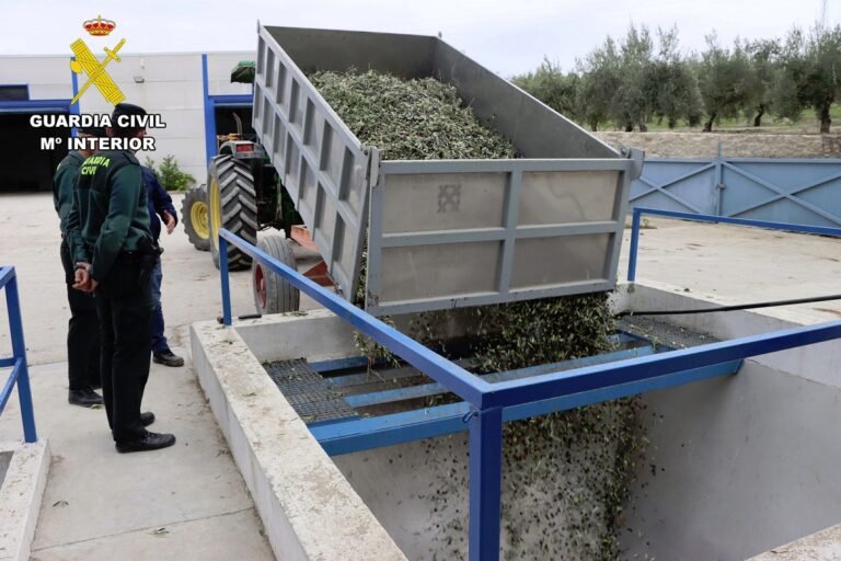 La Guardia Civil detiene a tres personas en Baena por robar unos 9.000 kilos de aceitunas recolectadas