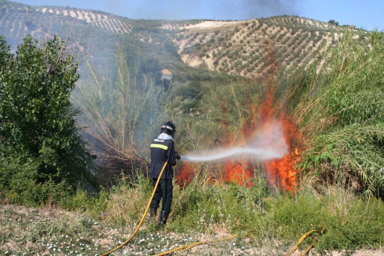 El Plan Infoca inicia la época de peligro alto de incendios desde el 1 junio al 15 de octubre