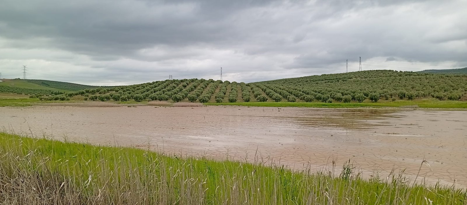 Ecologistas denuncian el vaciado continuado de la laguna de la Roa en Baena