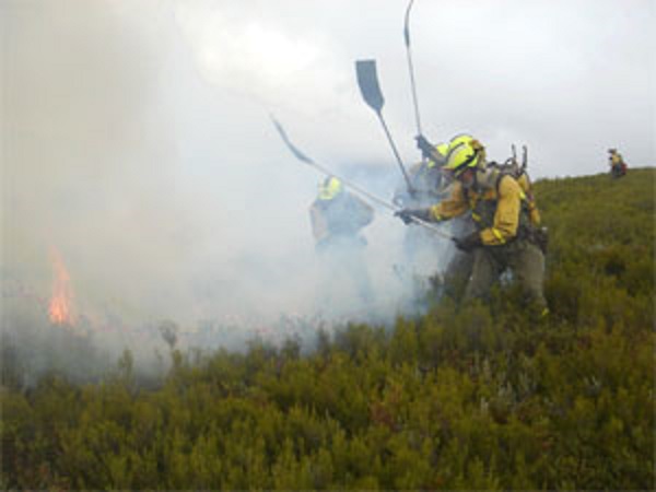 Asaja Córdoba destaca la labor de los agricultores y ganaderos en la lucha contra los incendios