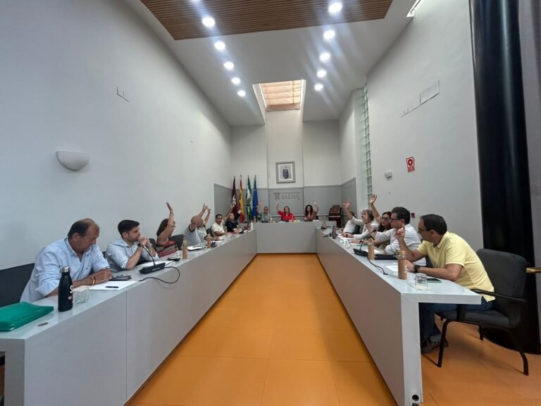 El Pleno de Baena respalda una moción conjunta contra la planta de biometano con el único rechazo de VOX