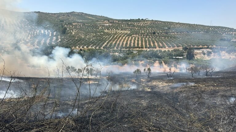 Un incendio en la finca Fuente de la Salud moviliza a seis bomberos en Baena