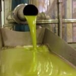 El Gobierno modifica la norma de calidad de los aceites de oliva