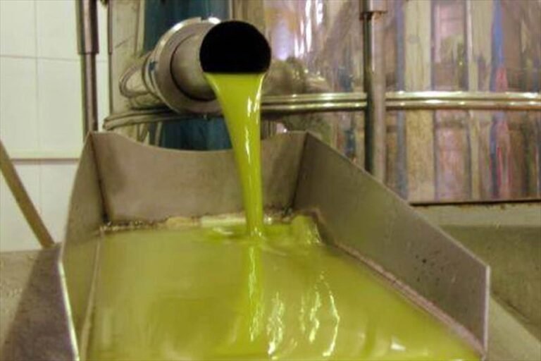 El Gobierno modifica la norma de calidad de los aceites de oliva