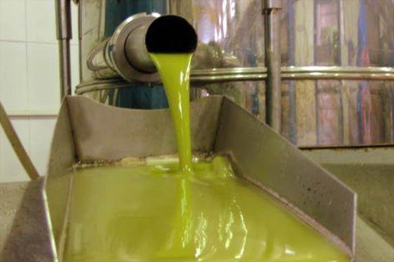 El Gobierno modifica la norma de calidad de los aceites de oliva