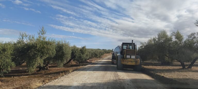 Baena intervendrá en 35 kilómetros de caminos rurales ante el inicio de la campaña de aceituna